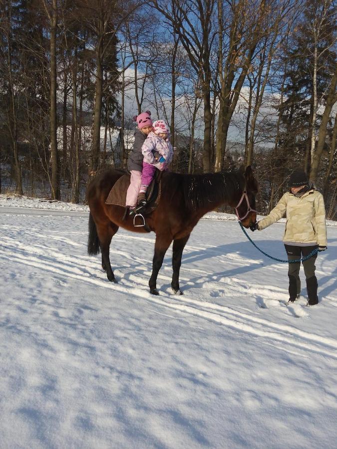 Вілла U Ponocneho Pod Ondrejnikem Фридлант-над-Остравіці Екстер'єр фото